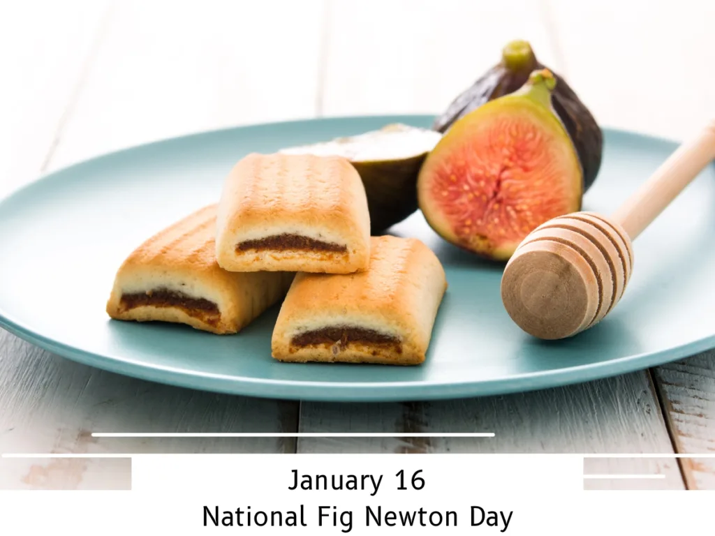 national fig newton day